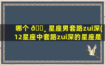 哪个 🕸 星座男套路zui
深(12星座中套路zui
深的星座是哪个 🌴 )